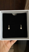 Heart Drop Crystal Earrings