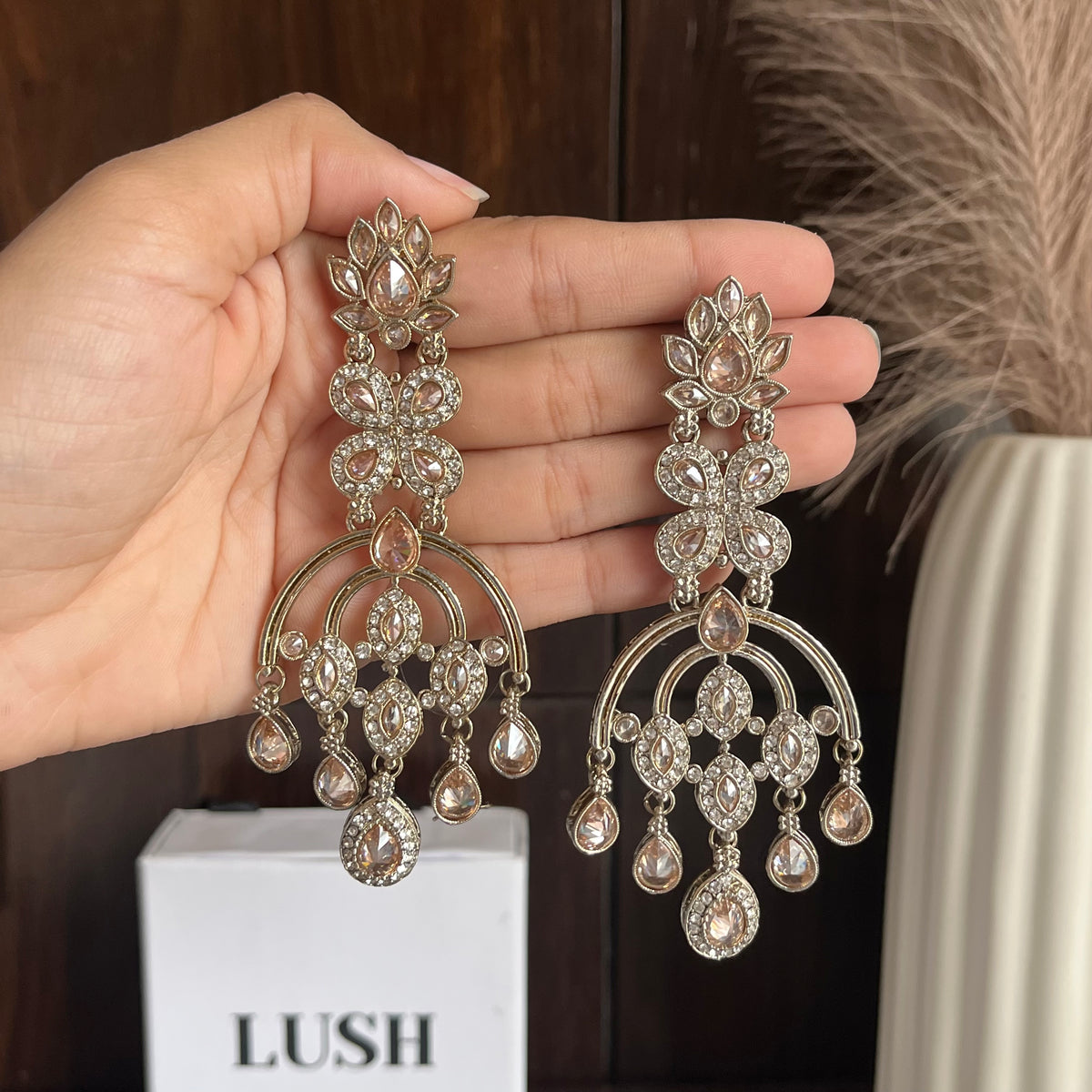 Earrings