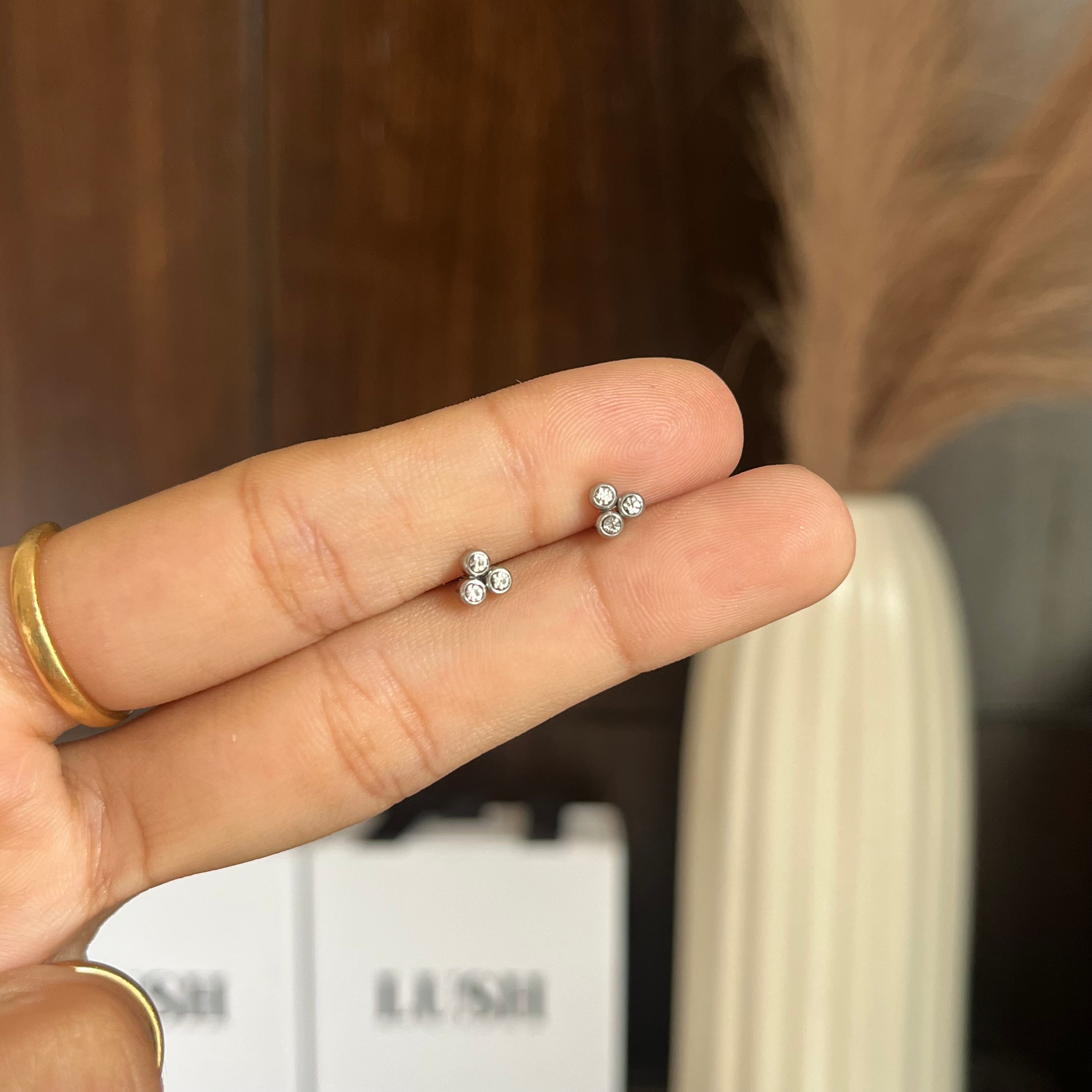 Tiny silver studs (ball back)