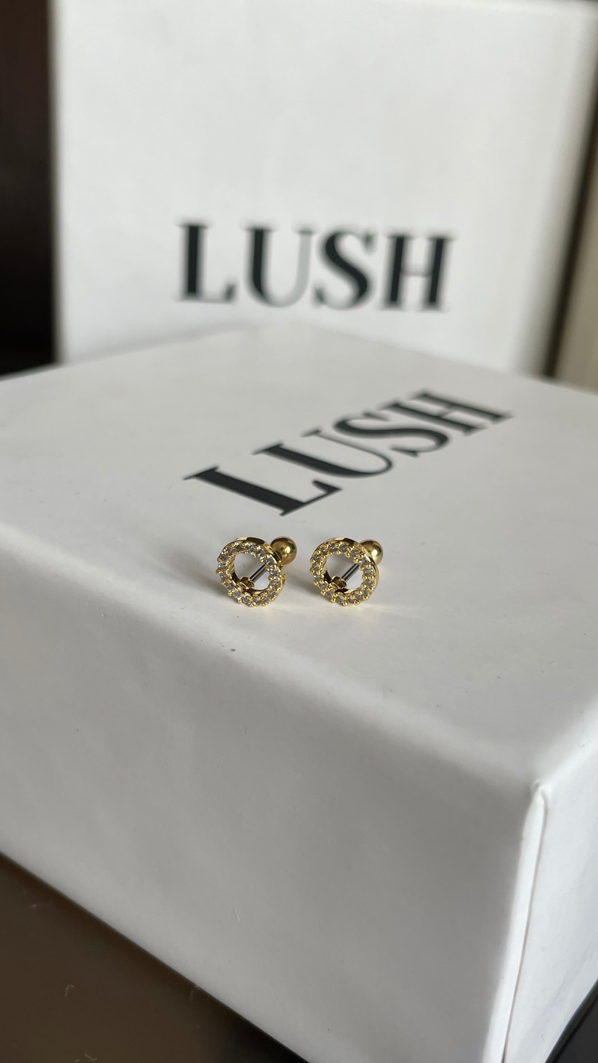 Halo Circle Studs (ball back)